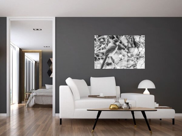 Obraz - Modrý vták v zime (90x60 cm)