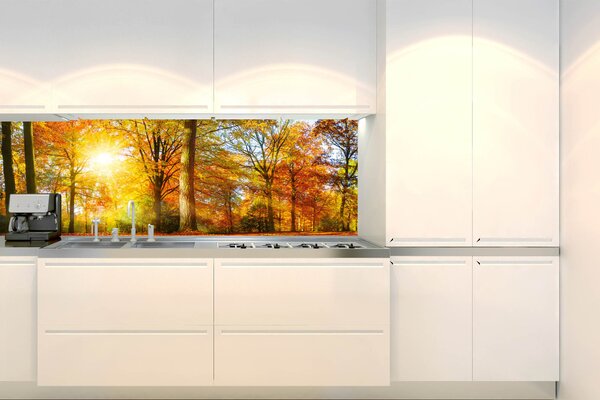 DIMEX | Fototapeta do kuchyne Farebný jesenný les KI-180-188 | 180 x 60 cm | hnedá, žltá, oranžová