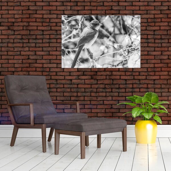 Obraz - Modrý vták v zime (90x60 cm)