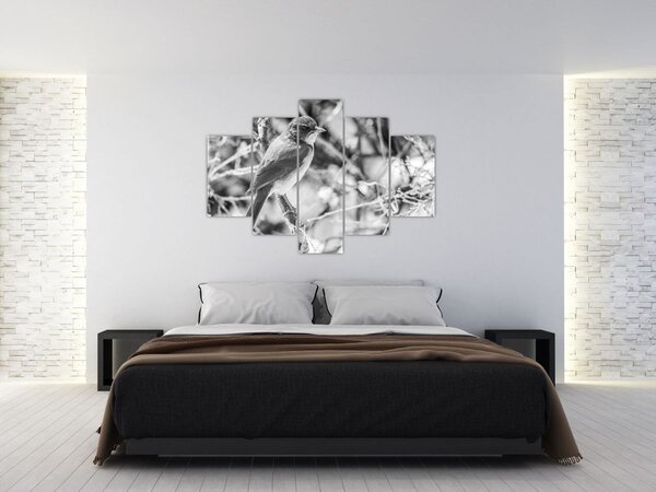 Obraz - Modrý vták v zime (150x105 cm)