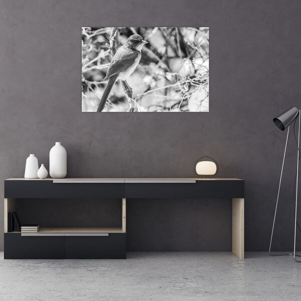 Obraz - Modrý vták v zime (90x60 cm)