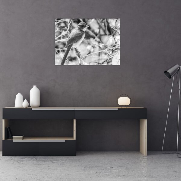 Obraz - Modrý vták v zime (70x50 cm)