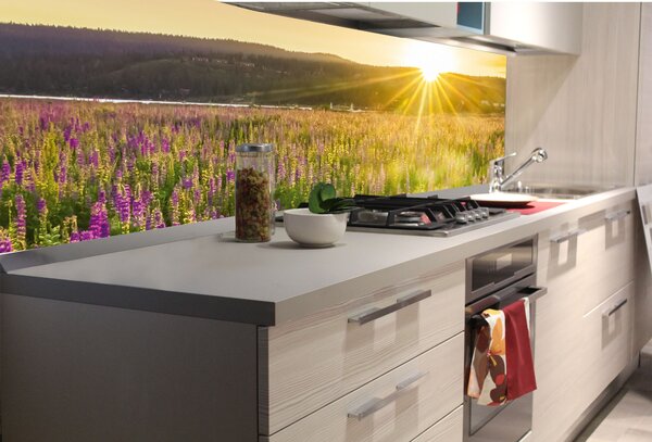 DIMEX | Fototapeta do kuchyne Slnečné lúče nad lúkou KI-180-201 | 180 x 60 cm | žltá, zelená, fialová