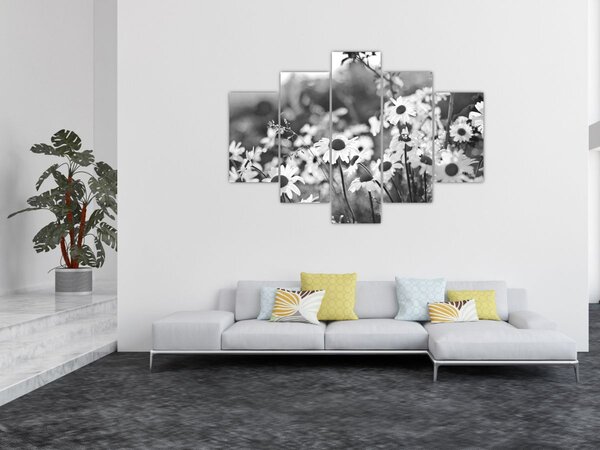 Obraz - Kopretiny (150x105 cm)