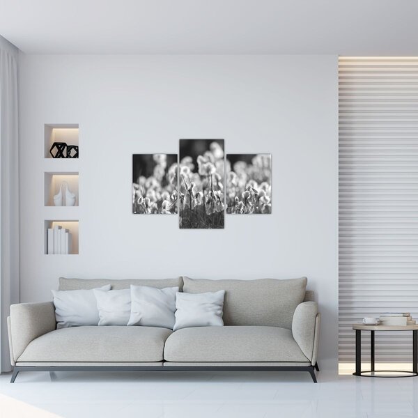 Obraz - Letná lúka (90x60 cm)