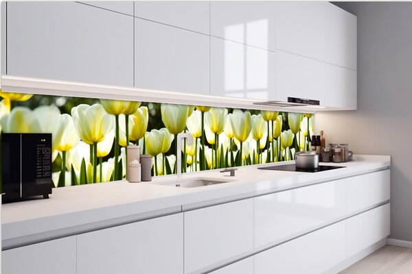 DIMEX | Fototapeta do kuchyne Biele tulipány KI-420-009 | 420 x 60 cm | zelená, biela, žltá