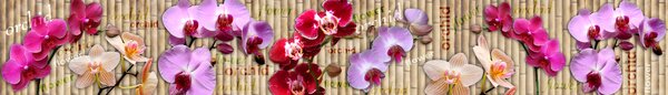 DIMEX | Fototapeta do kuchyne Orchidea KI-420-026 | 420 x 60 cm | fialová, béžová, ružová