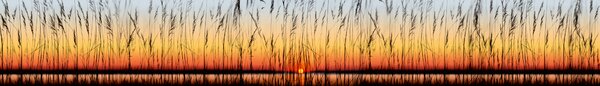 DIMEX | Fototapeta do kuchyne Západ slnka KI-420-129 | 420 x 60 cm | červená, žltá, oranžová