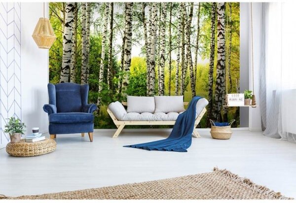 DIMEX | Vliesové fototapety na stenu Brezový les MS-5-0094 | 375 x 250 cm | biela, čierna, zelená