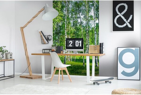 DIMEX | Vliesové fototapety na stenu Brezový háj MS-2-0100 | 150 x 250 cm | biela, čierna, zelená