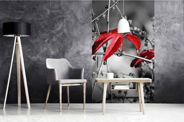 DIMEX | Vliesové fototapety na stenu Červené lístie na čiernom pozadí MS-2-0110 | 150 x 250 cm | čiernobiela, červená