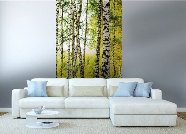 DIMEX | Vliesové fototapety na stenu Brezový les MS-2-0094 | 150 x 250 cm | biela, čierna, zelená