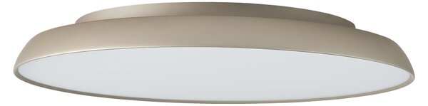 MInimalistické stropné svietidlo Clara 60 stmievateľné champagne – 60 x 310 cm