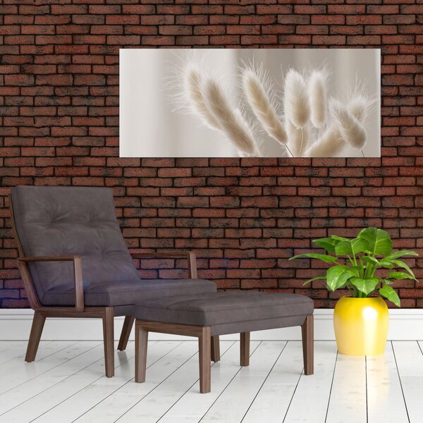 Obraz - Zajačie chvostíky (120x50 cm)