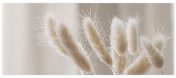 Obraz - Zajačie chvostíky (120x50 cm)
