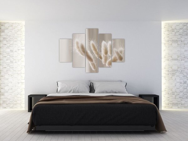 Obraz - Zajačie chvostíky (150x105 cm)