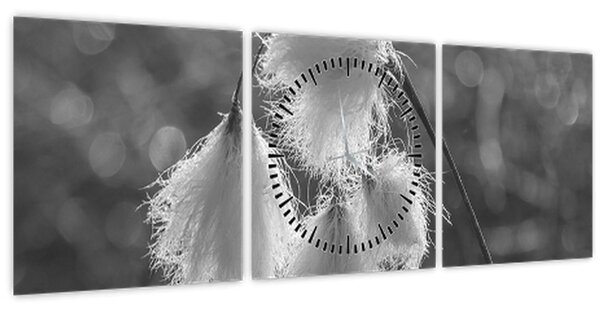 Obraz - Cottongrass (s hodinami) (90x30 cm)