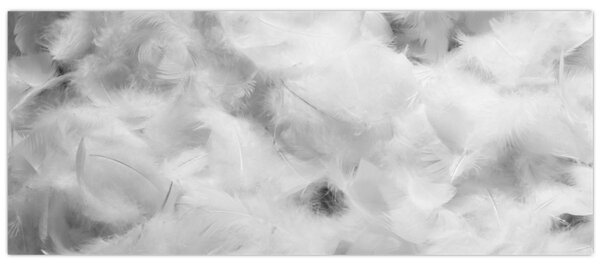 Obraz - Oblaky perie (120x50 cm)