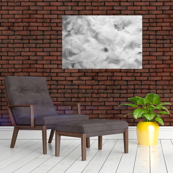 Obraz - Oblaky perie (90x60 cm)