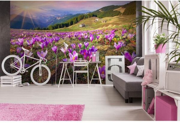 DIMEX | Vliesové fototapety na stenu Krókusy na jar MS-5-0064 | 375 x 250 cm | fialová, zelená, viacfarebná