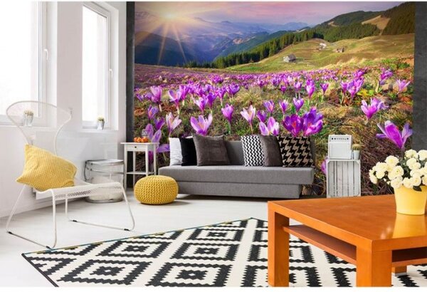 DIMEX | Vliesové fototapety na stenu Krókusy na jar MS-5-0064 | 375 x 250 cm | fialová, zelená, viacfarebná