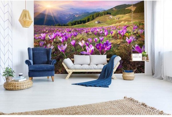 DIMEX | Vliesové fototapety na stenu Krókusy na jar MS-5-0064 | 375 x 250 cm | fialová, zelená, viacfarebná