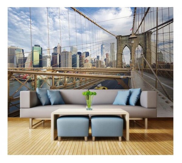 DIMEX | Vliesové fototapety na stenu Mesto New York MS-5-0004 | 375 x 250 cm | modrá, béžová, biela, viacfarebná