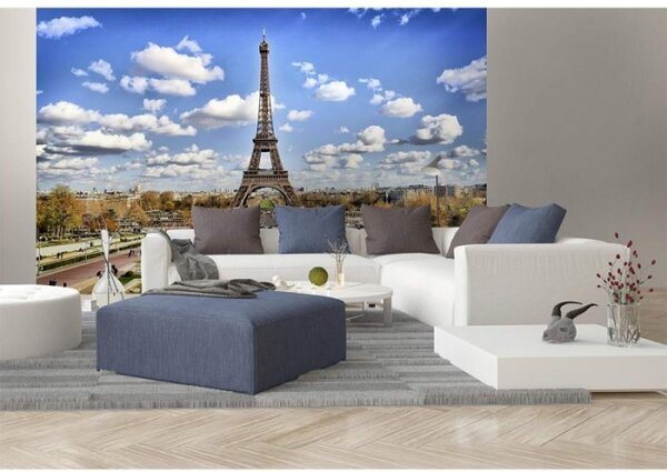 DIMEX | Vliesové fototapety na stenu Paríž MS-5-0025 | 375 x 250 cm | modrá, šedá, biela, zelená