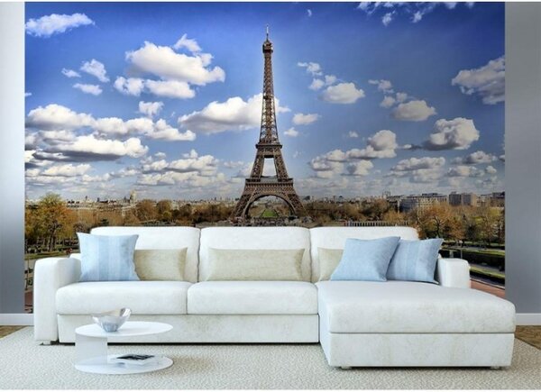 DIMEX | Vliesové fototapety na stenu Paríž MS-5-0025 | 375 x 250 cm | modrá, šedá, biela, zelená