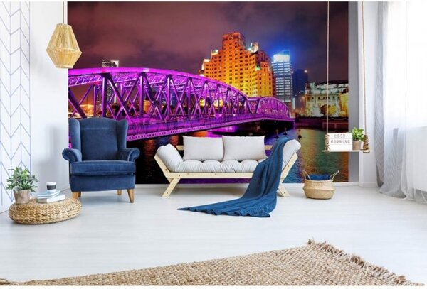 DIMEX | Vliesové fototapety na stenu Shangai MS-5-0022 | 375 x 250 cm | fialová, žltá, viacfarebná