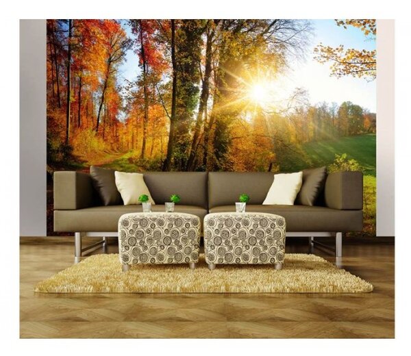 DIMEX | Vliesové fototapety na stenu Prechádzka lesom MS-5-0065 | 375 x 250 cm | oranžová, zelená