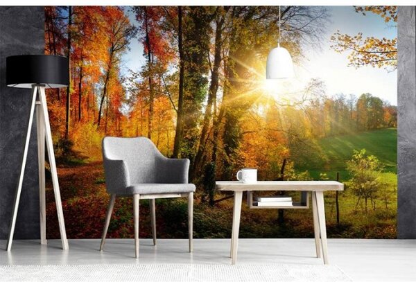 DIMEX | Vliesové fototapety na stenu Prechádzka lesom MS-5-0065 | 375 x 250 cm | oranžová, zelená