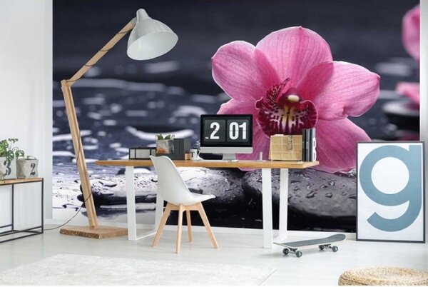 DIMEX | Vliesové fototapety na stenu Orchidea MS-5-0120 | 375 x 250 cm | čierna, ružová
