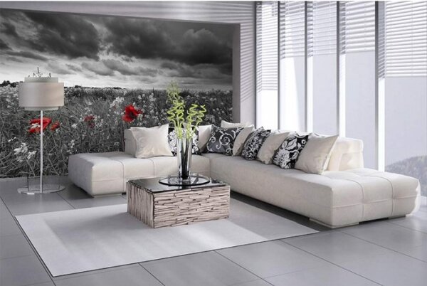 DIMEX | Vliesové fototapety na stenu Čiernobiele vlčie maky MS-5-0091 | 375 x 250 cm | čiernobiela, červená