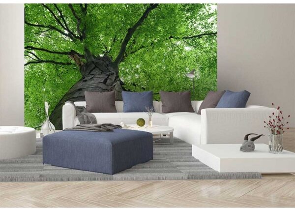 DIMEX | Vliesové fototapety na stenu Koruna stromu MS-5-0101 | 375 x 250 cm | šedá, zelená