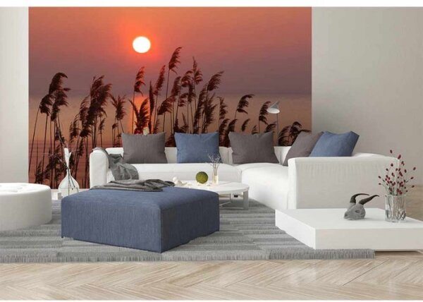DIMEX | Vliesové fototapety na stenu Rákos na jazere MS-5-0089 | 375 x 250 cm | červená, béžová