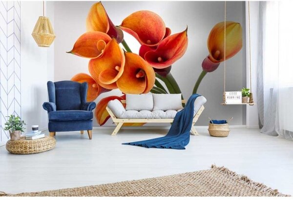 DIMEX | Vliesové fototapety na stenu Kala MS-5-0152 | 375 x 250 cm | oranžová, biela, zelená
