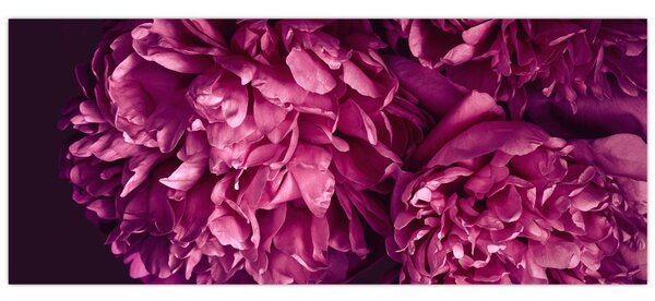 Obraz - Kytica pivoniek (120x50 cm)