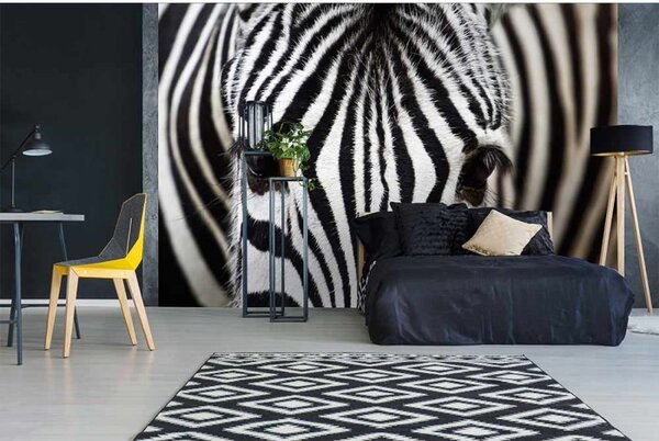 DIMEX | Vliesové fototapety na stenu Zebra MS-5-0234 | 375 x 250 cm | čierna, biela