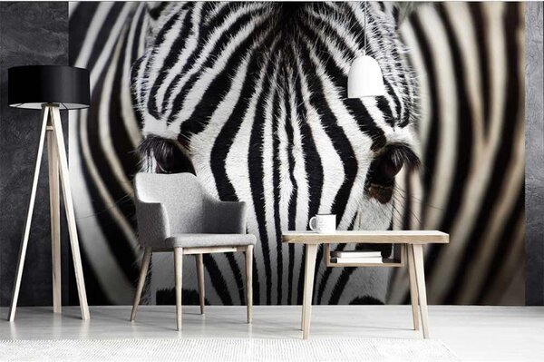 DIMEX | Vliesové fototapety na stenu Zebra MS-5-0234 | 375 x 250 cm | čierna, biela