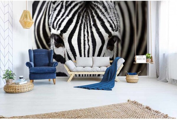 DIMEX | Vliesové fototapety na stenu Zebra MS-5-0234 | 375 x 250 cm | čierna, biela