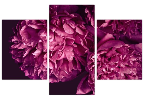 Obraz - Kytica pivoniek (90x60 cm)