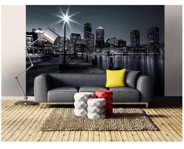 DIMEX | Vliesové fototapety na stenu Boston MS-5-0016 | 375 x 250 cm | čiernobiela