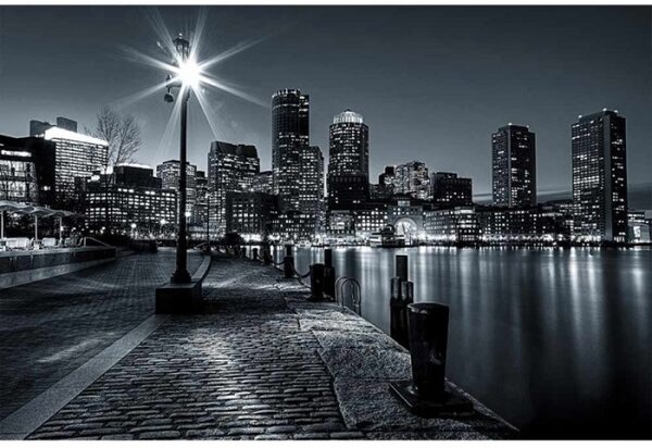 DIMEX | Vliesové fototapety na stenu Boston MS-5-0016 | 375 x 250 cm | čiernobiela