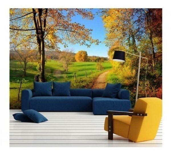 DIMEX | Vliesové fototapety na stenu Lúka MS-5-0066 | 375 x 250 cm | zelená, žltá, modrá, červená