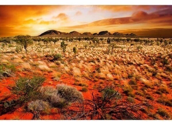 DIMEX | Vliesové fototapety na stenu Austrália MS-5-0050 | 375 x 250 cm | oranžová, žltá, hnedá, zelená