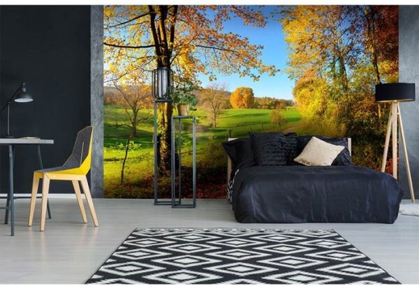 DIMEX | Vliesové fototapety na stenu Lúka MS-5-0066 | 375 x 250 cm | zelená, žltá, modrá, červená
