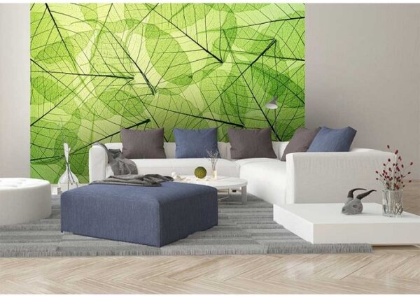 DIMEX | Vliesové fototapety na stenu Žilky listov MS-5-0111 | 375 x 250 cm | zelená