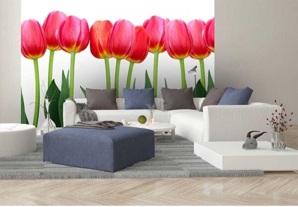 DIMEX | Vliesové fototapety na stenu Tulipány MS-5-0126 | 375 x 250 cm | zelená, červená, biela