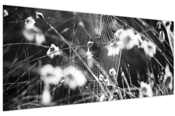 Obraz - Pavučina na lúke (120x50 cm)